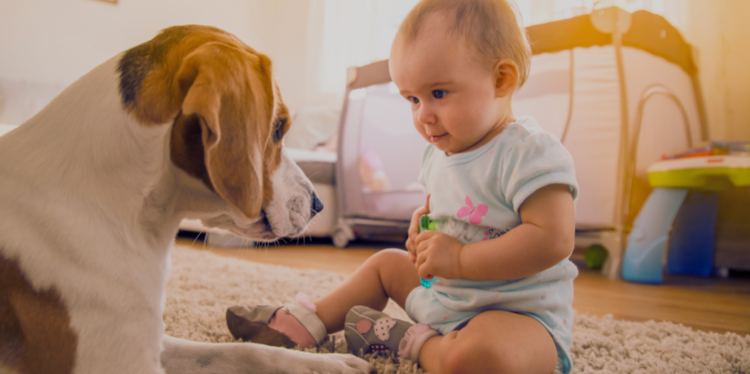 Hund mit sitzendem Baby